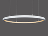 Heißer Verkauf Architekturlicht Weißes inneres emittierendes LED-Kreislicht LL0125S-40W