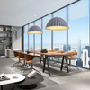 Akustiklicht des Kuppels mit E26 LED -Lampen -Basis -Klang LL0410SAC
