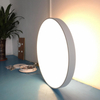 Led Modern Architectural Lighting Hersteller Deckenleuchte LL0112UDM-120W