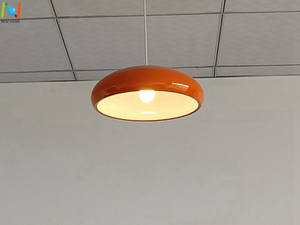 Dish Light Restaurant Pendelleuchte, dekorative Innenbeleuchtung LL0504S