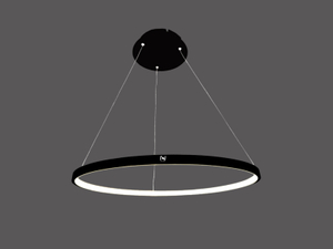 Dekorative Beleuchtung Kreislampe Architekturbeleuchtung Hersteller LL0207S-20W